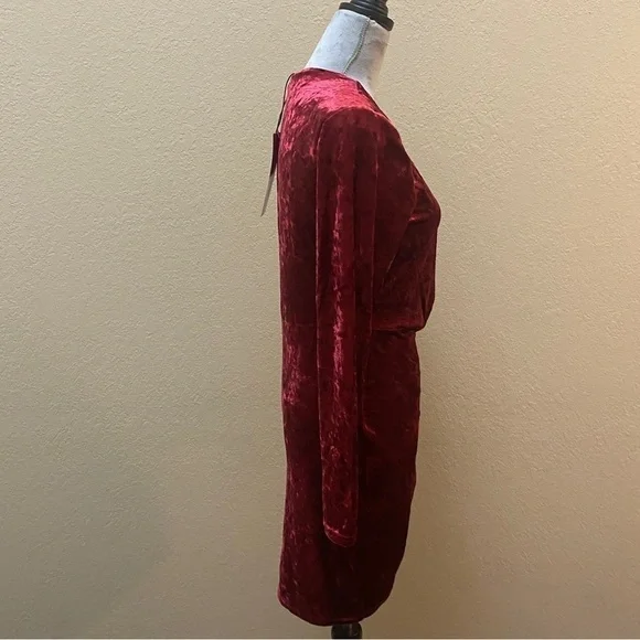 NWT Betsey Johnson Valentine Red Crush Velvet Dress M - Picture 4 of 13